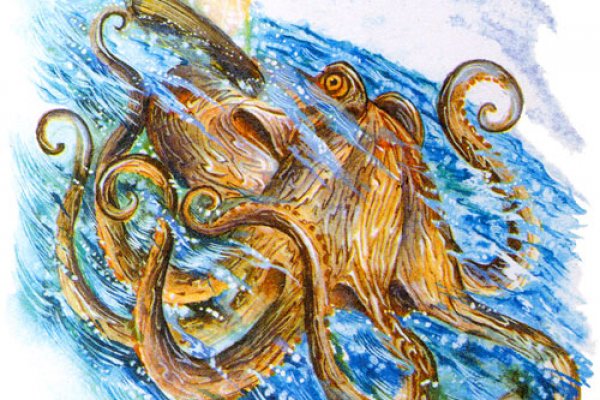 Актуальное зеркало kraken