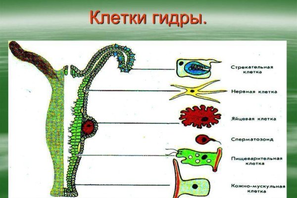 Кракен даркмаркет плейс официальный сайт