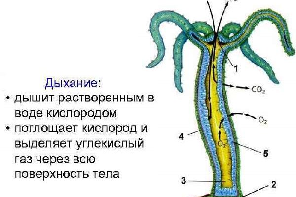 Кракен ссылка тор kraken014 com