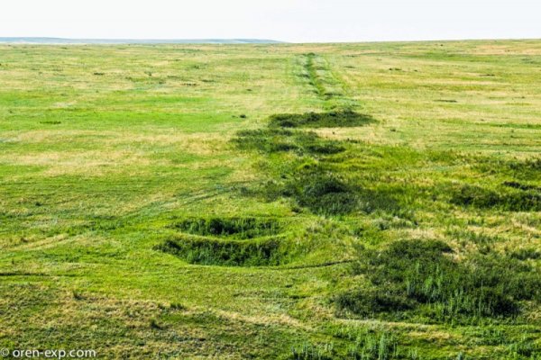 Кракен купить наркотики
